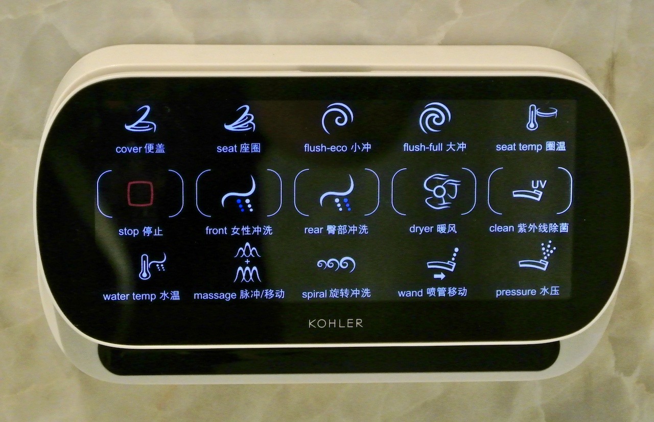 Controls for bidet seat in master toilet