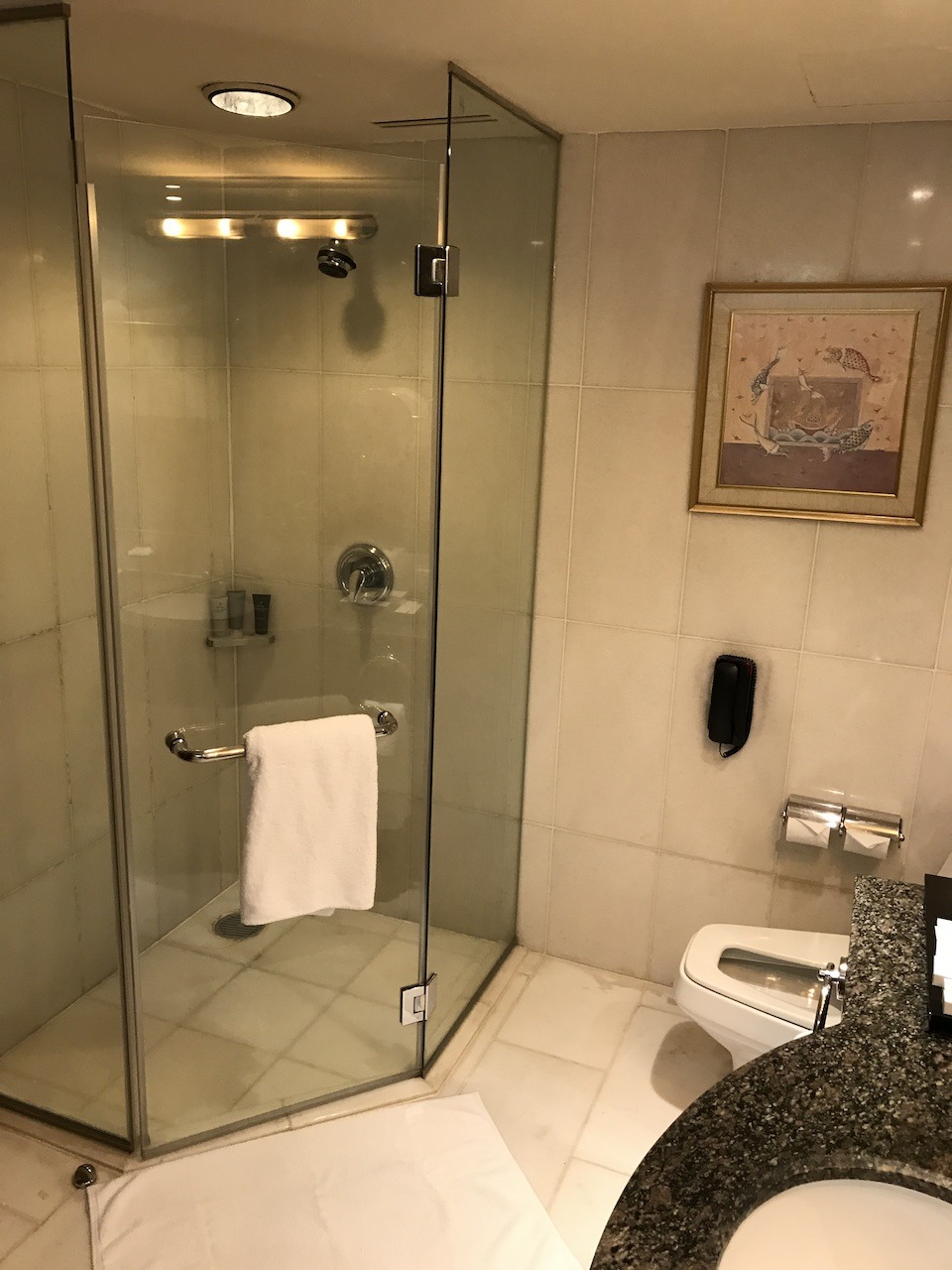 Master bathroom suite