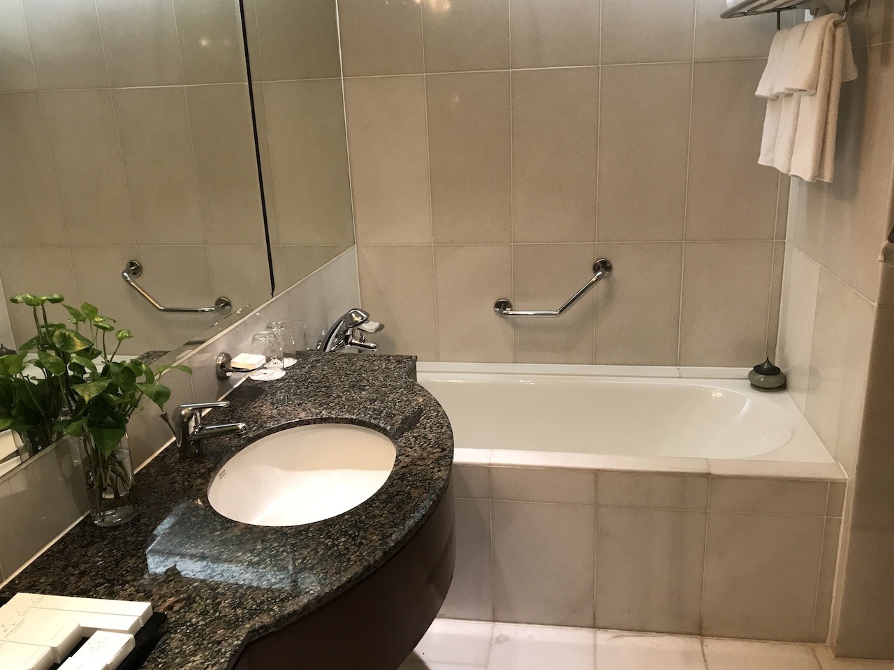 Master bathroom tub and vanity