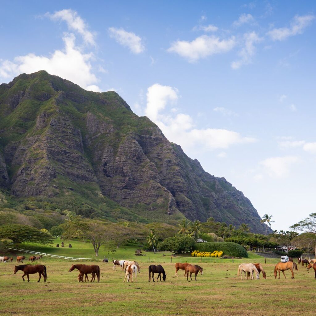 The Perfect Oahu 7 Day Budget Itinerary 2023