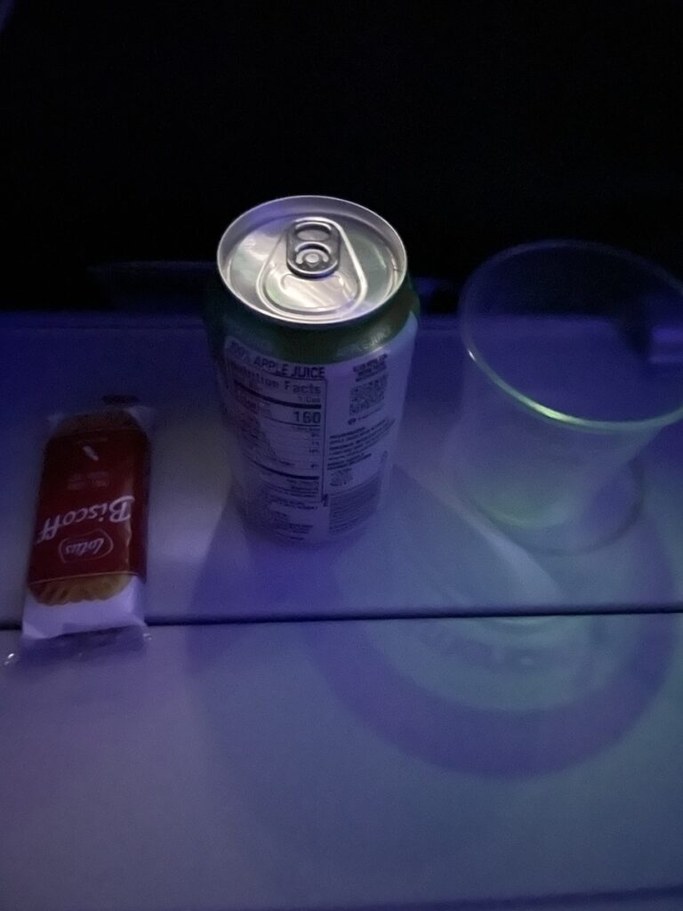American Airlines Main Cabin Extra Boeing 787 drink and cookie
