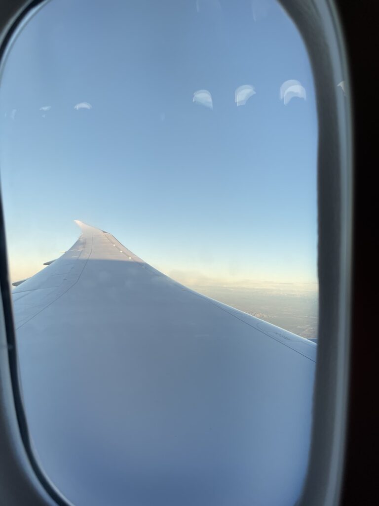American Airlines Main Cabin Extra Boeing 787 wing tip