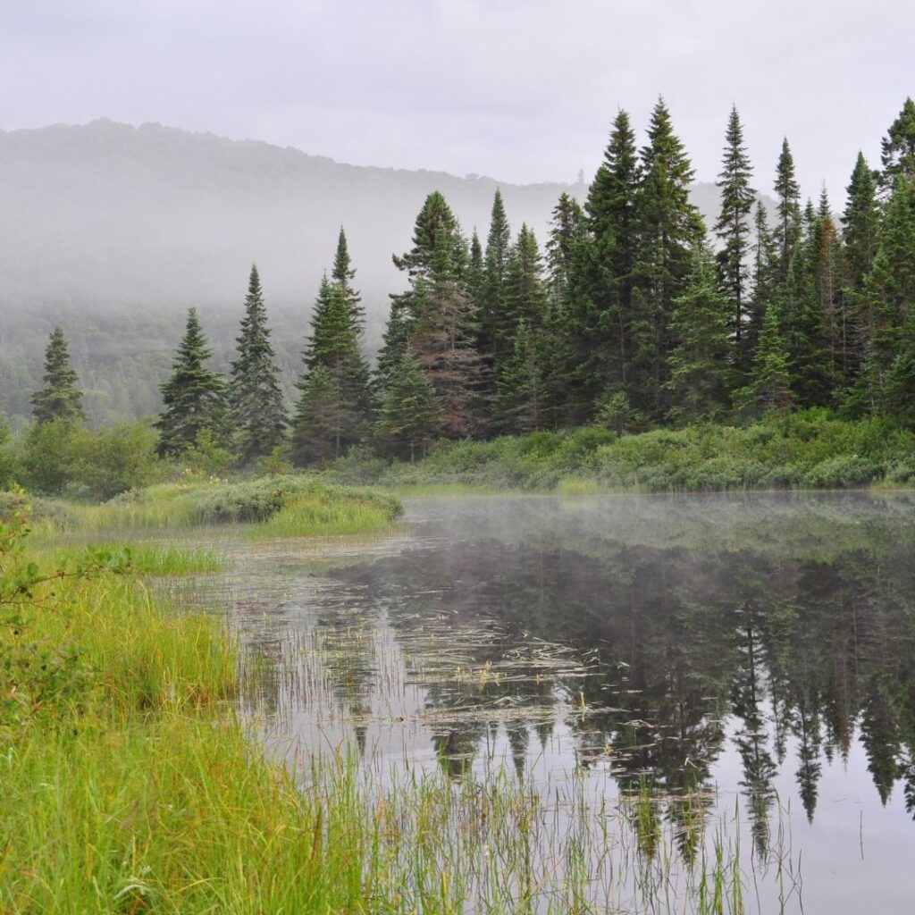 Lake view at Mont-Tremblant National Park