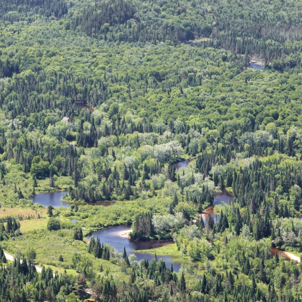 Mont Tremblant National Park