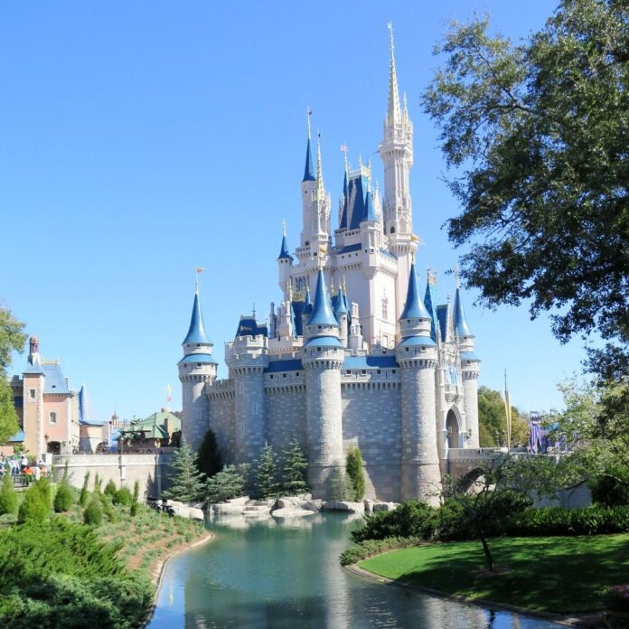 Disney Castle