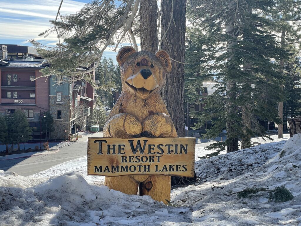 Wooden carved bear holding Westin Monache sign