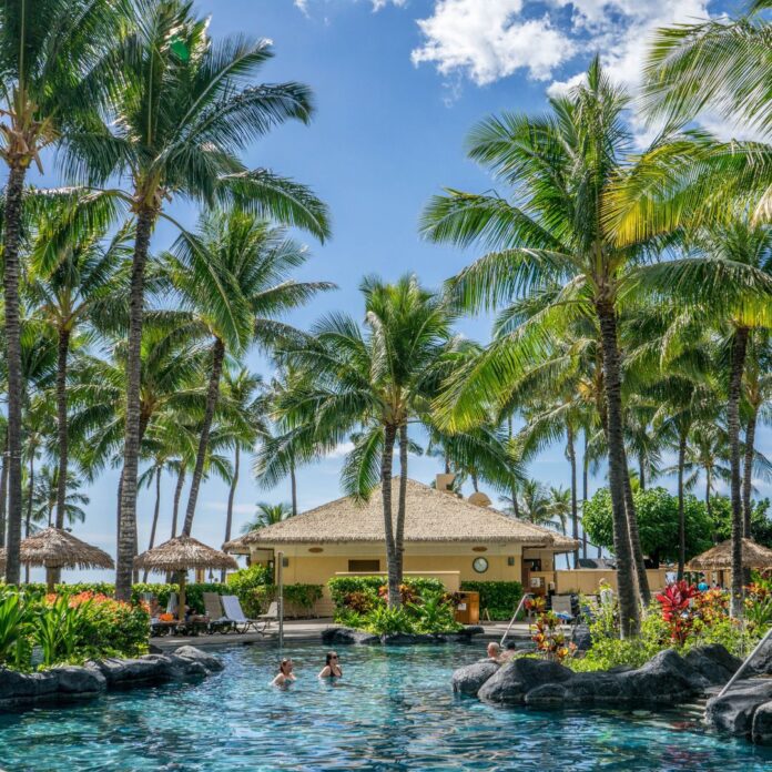 a group of people swimming in a pool with palm trees