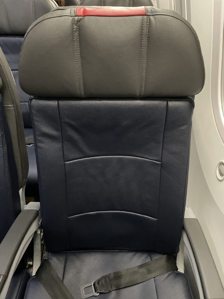 American Airlines Main Cabin Extra Boeing 787 Seat
