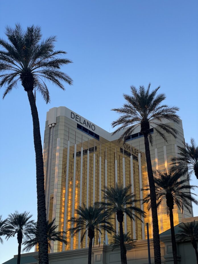 a tall palm trees next to a building