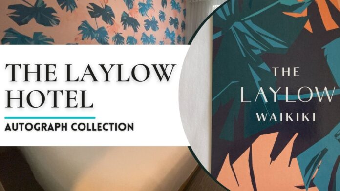 Video Review of Laylow Waikiki