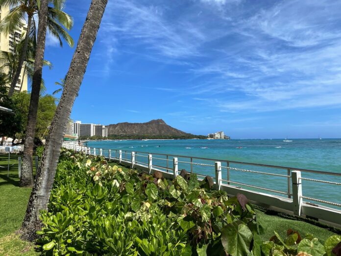 a body of water with palm trees and a white fence