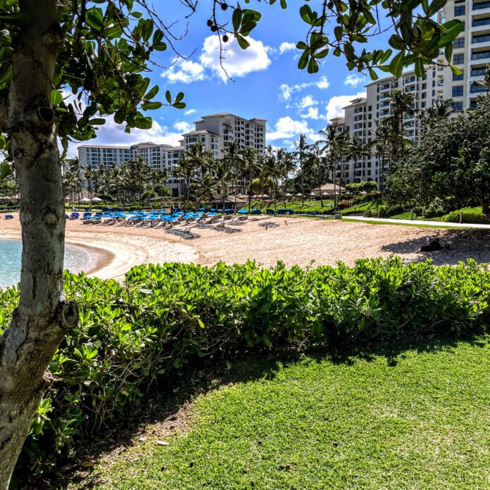 a beach with trees and buildings in the background