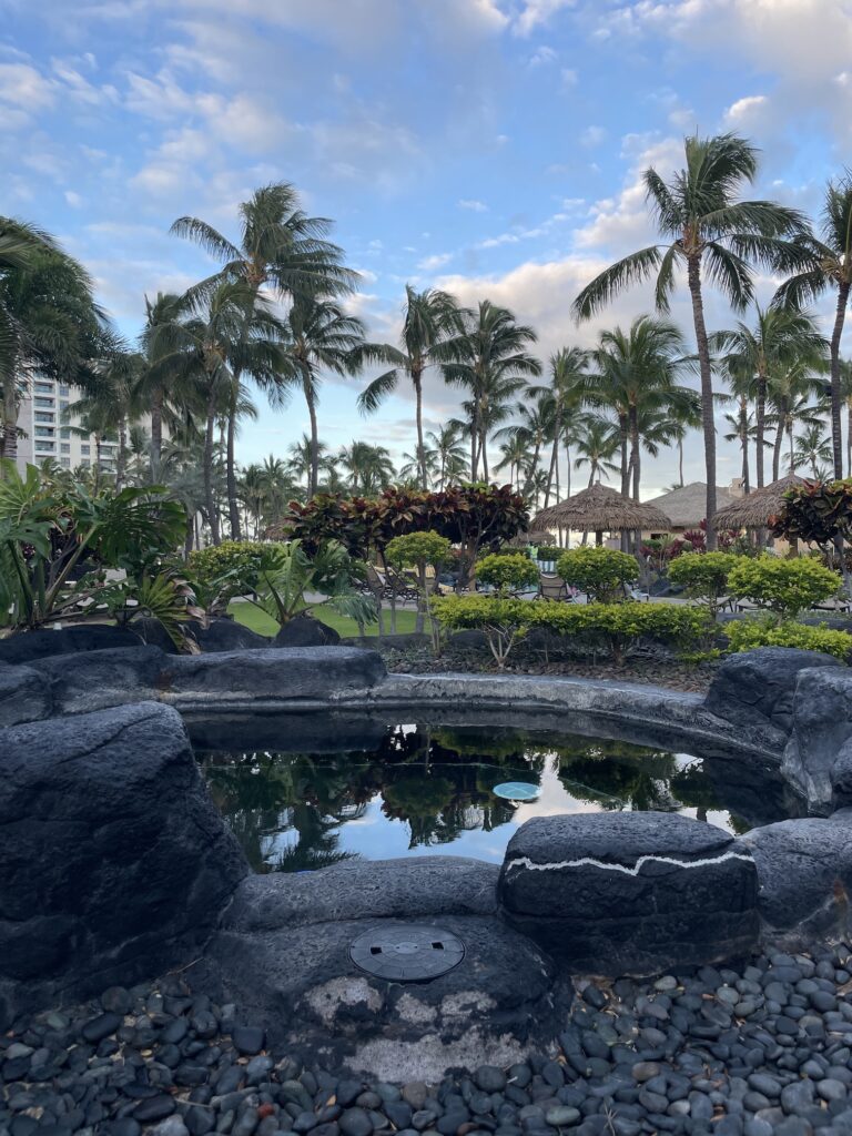 Review & Video | Marriott Ko Olina Beach Club An Amazing Location