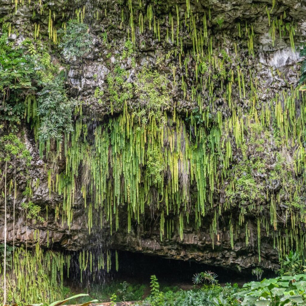 The 30 Best Things To Do On Kauai | A Bucket List Guide 2023