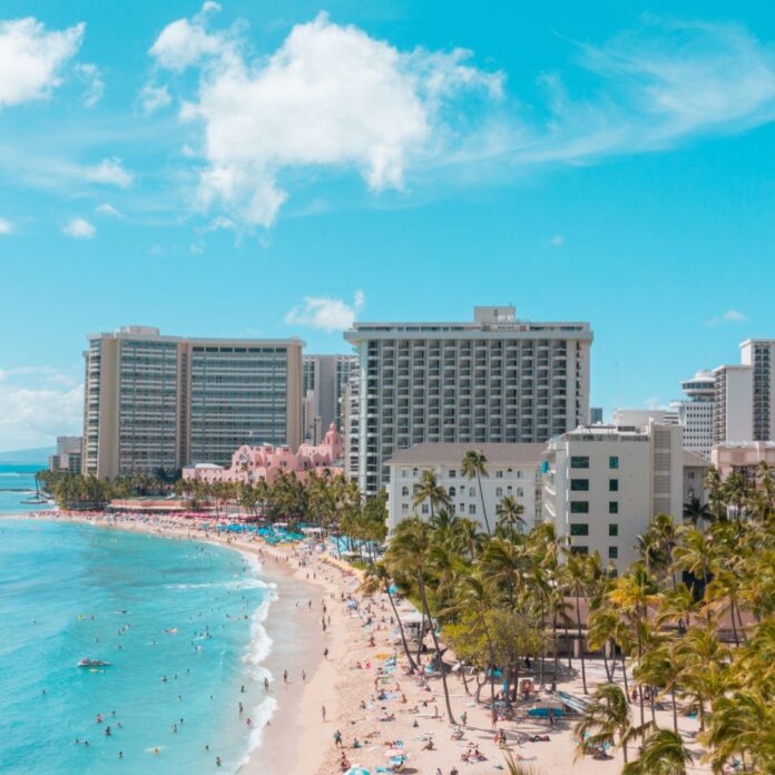 a beach with palm trees and buildings