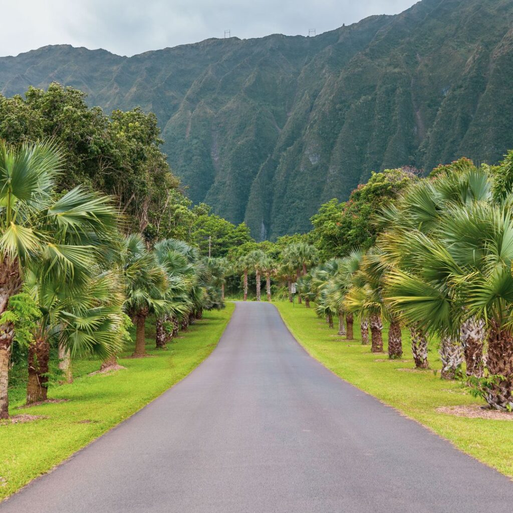 The 41 Best Things To Do On Oahu | Bucket List Guide 2023