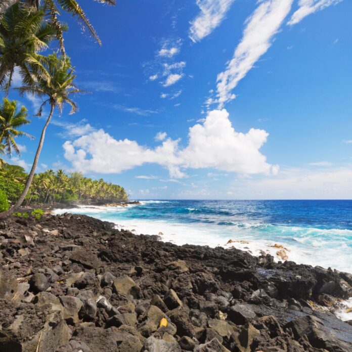 a rocky beach with palm trees and blue water