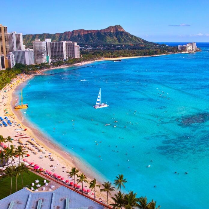 Oahu Tour Crowned Number One on TripAdvisor’s Global 2023 Best of the Best