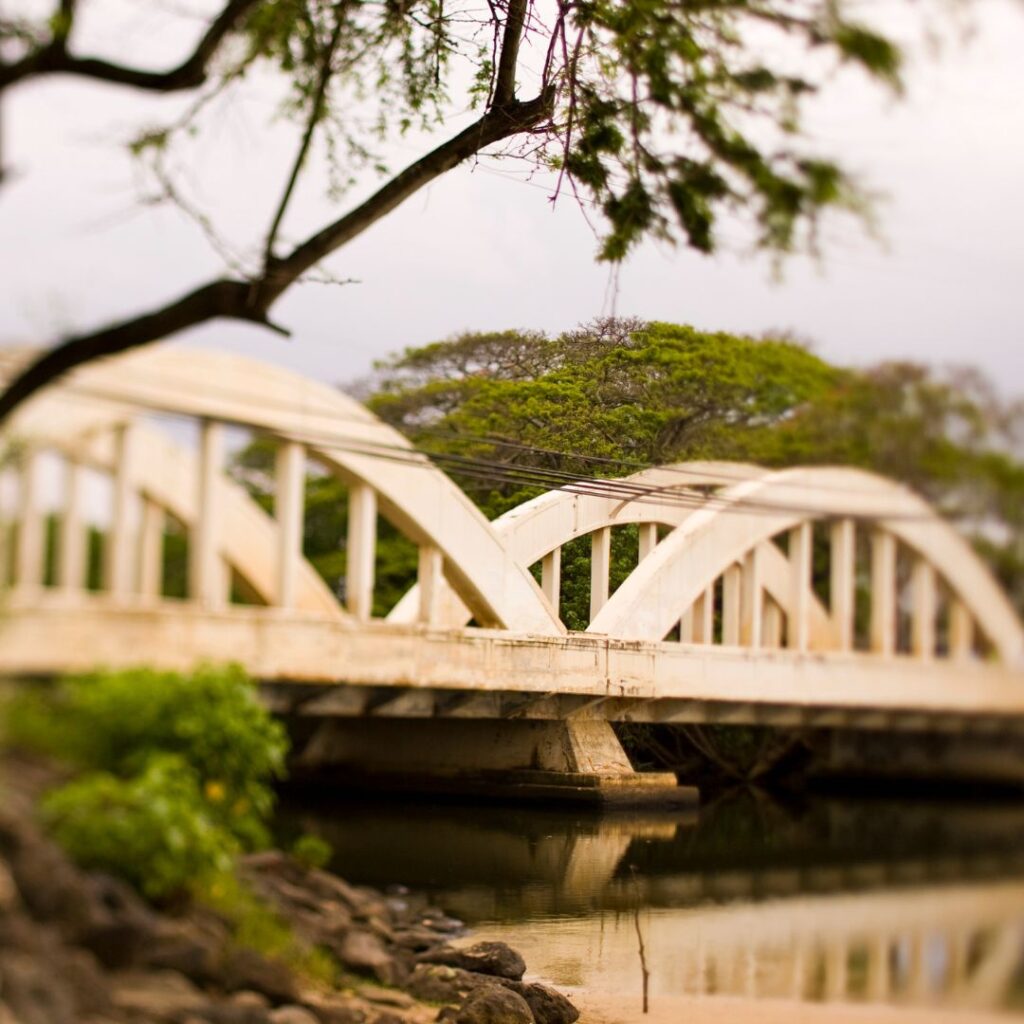 Oahu Tour Crowned Number One on TripAdvisor’s Global 2023 Best of the Best