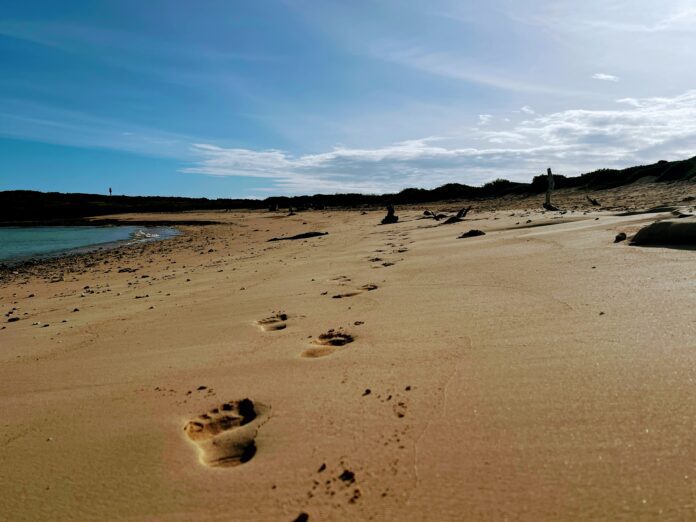 footprints in the sand