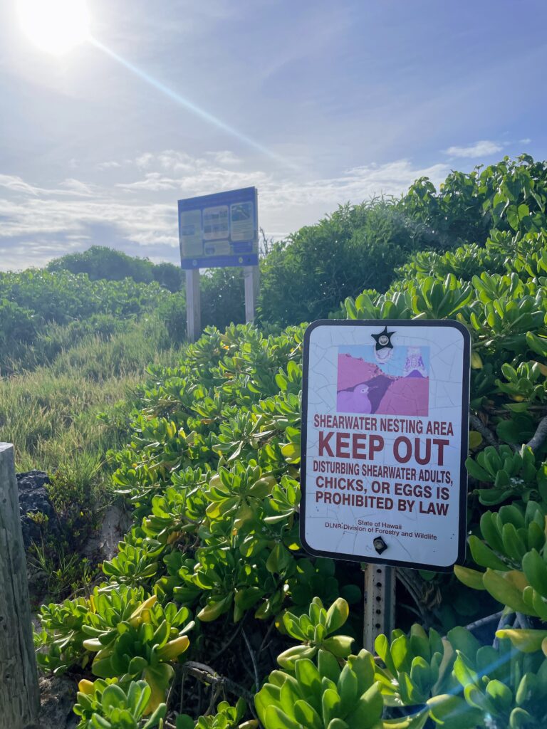 Exploring The Hidden Moku’auia Bird Sanctuary “Goat Island”