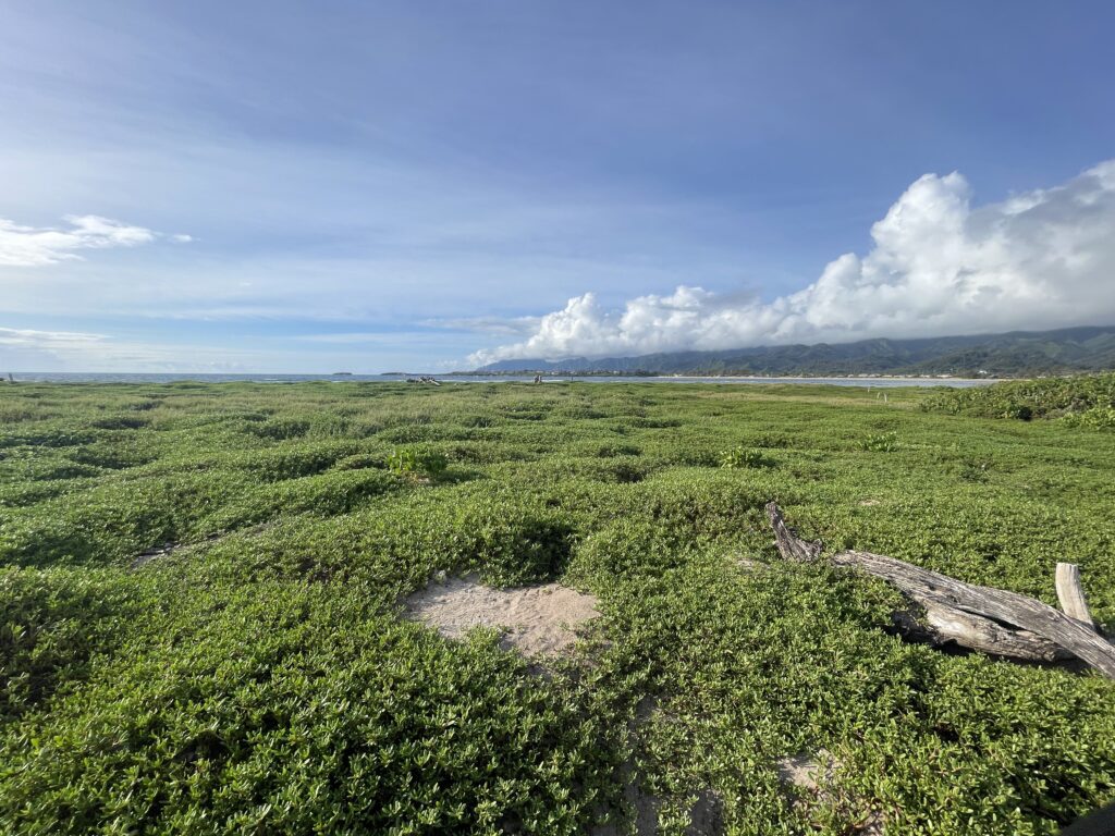 Exploring The Hidden Moku’auia Bird Sanctuary “Goat Island”