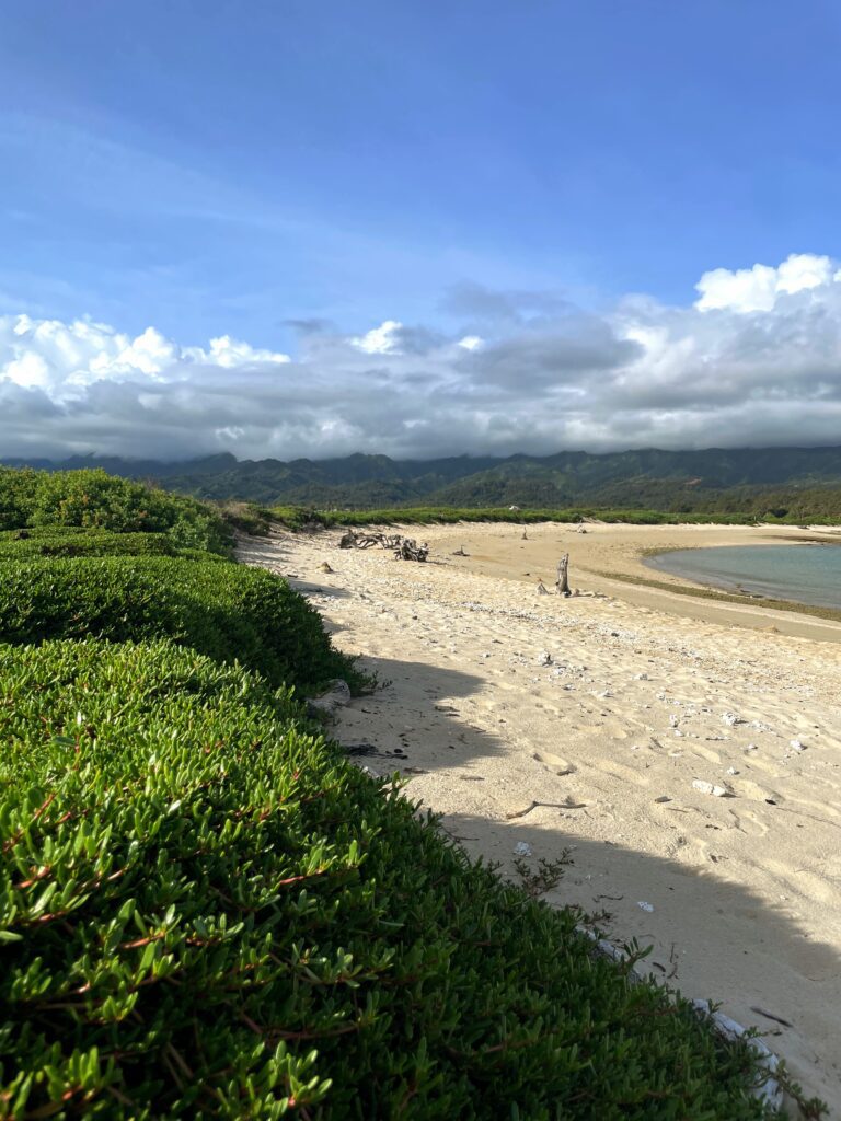 Secluded beach at Moku'auia 