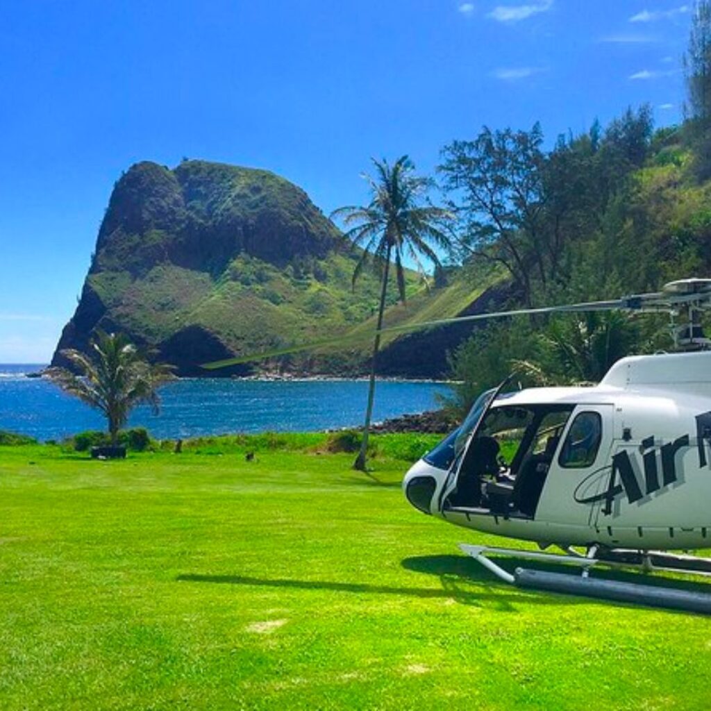 a helicopter parked on grass next to a body of water