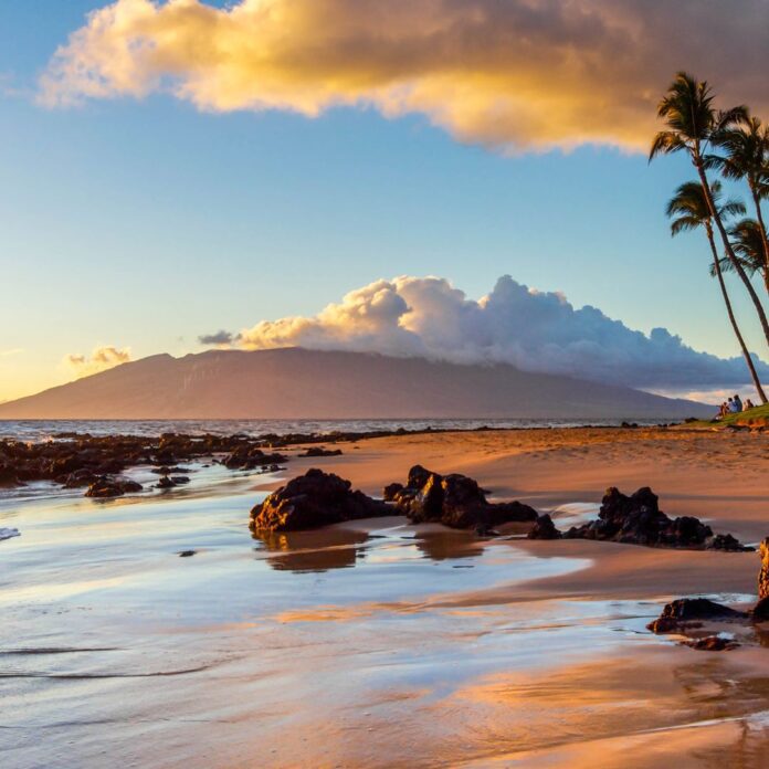 a beach with palm trees and rocks