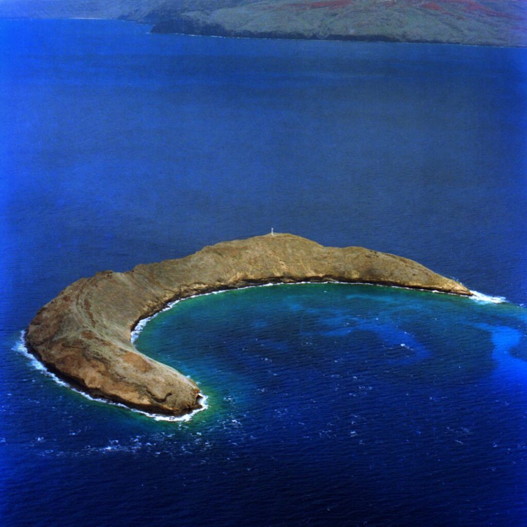 Snorkel Molokini is one of the best things to do on Maui