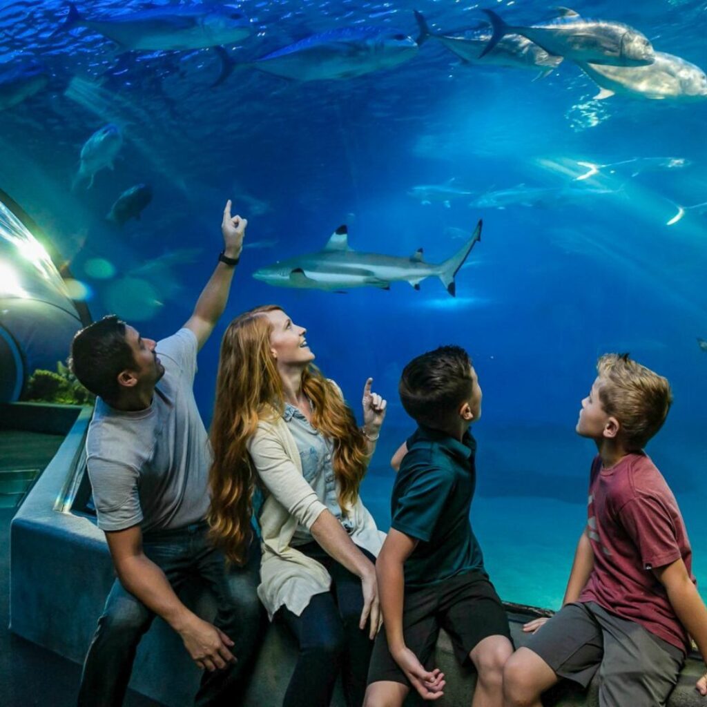 a group of people looking at fish in an aquarium