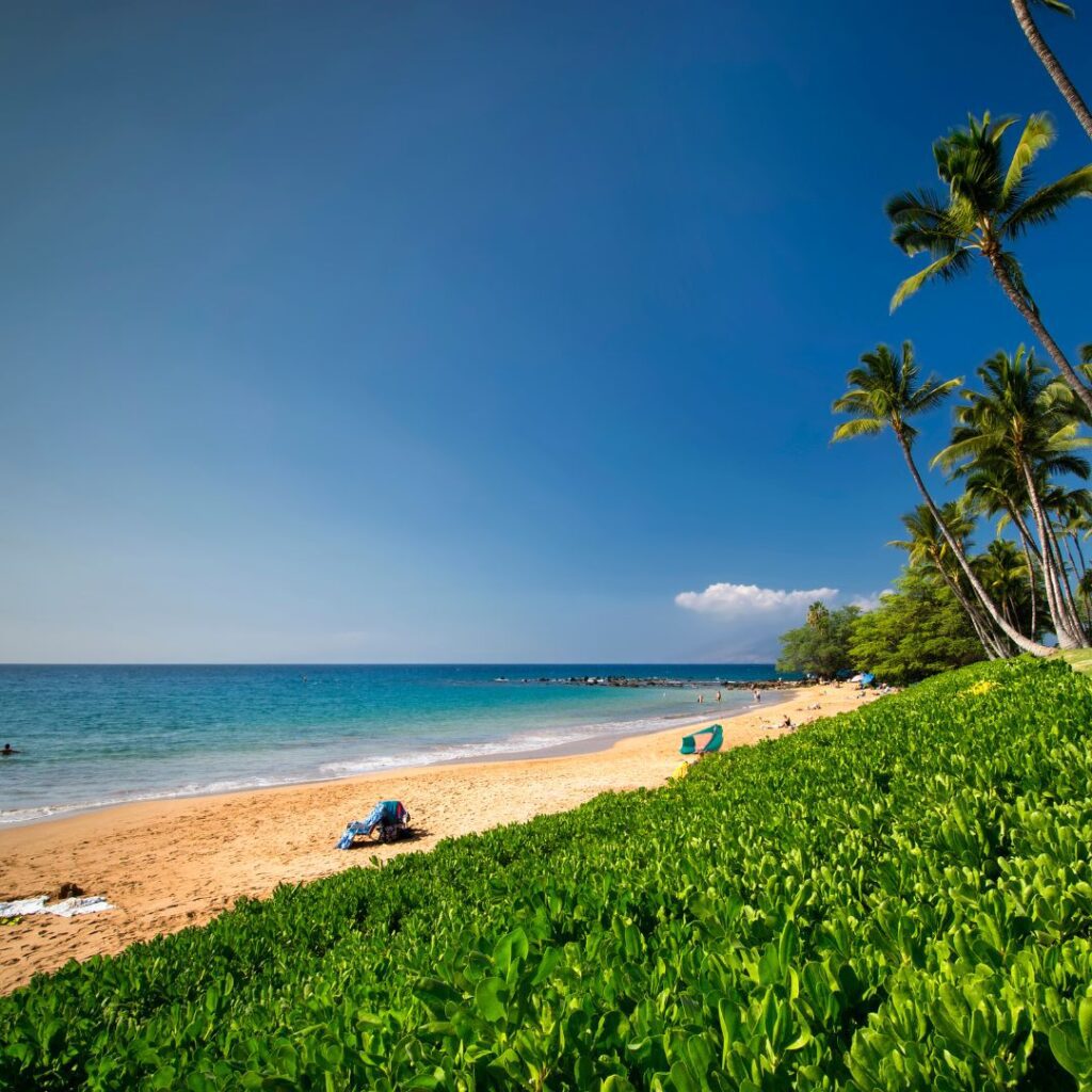 Snorkeling on Maui: The Ultimate Guide To 27 Amazing Spots