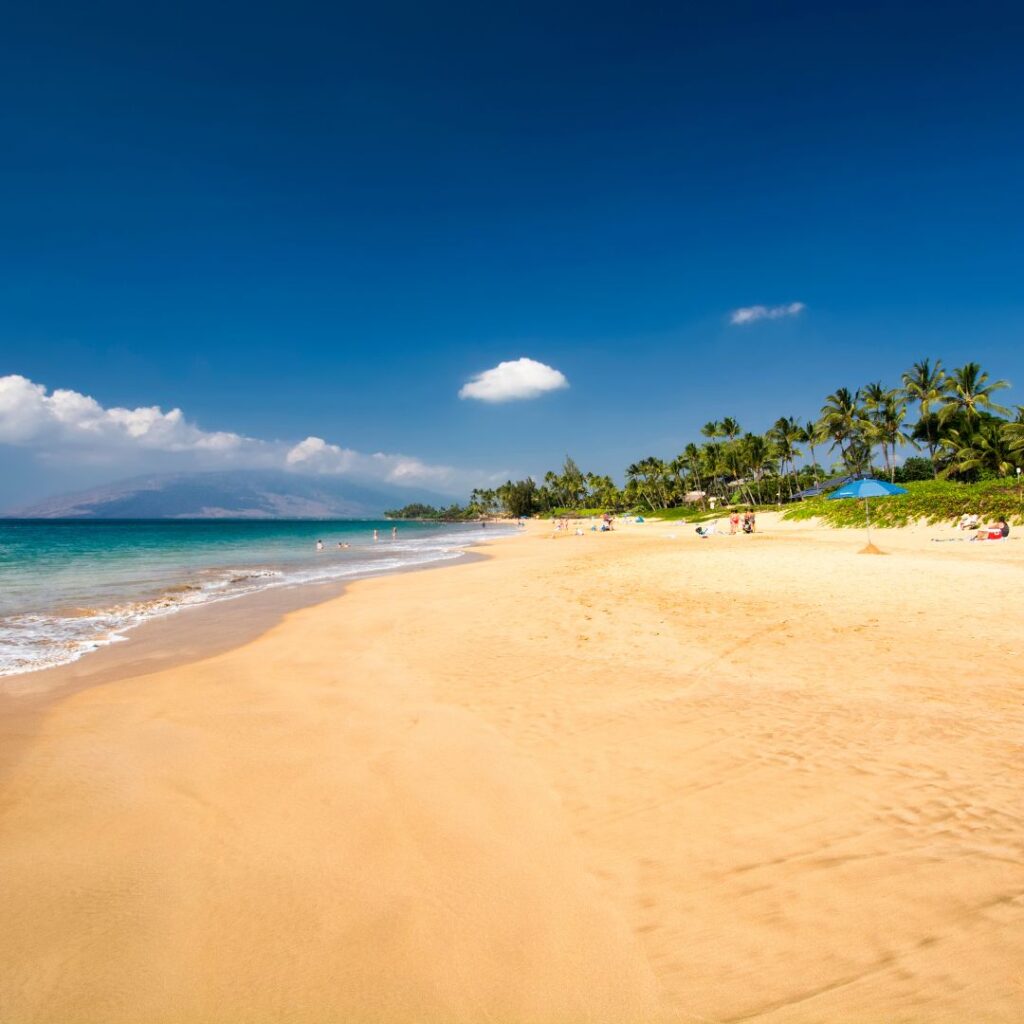 Snorkeling on Maui: The Ultimate Guide To 27 Amazing Spots