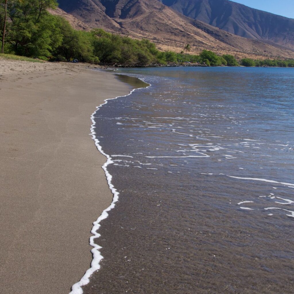 Snorkeling on Maui: The Ultimate Guide To 27 Amazing Spots