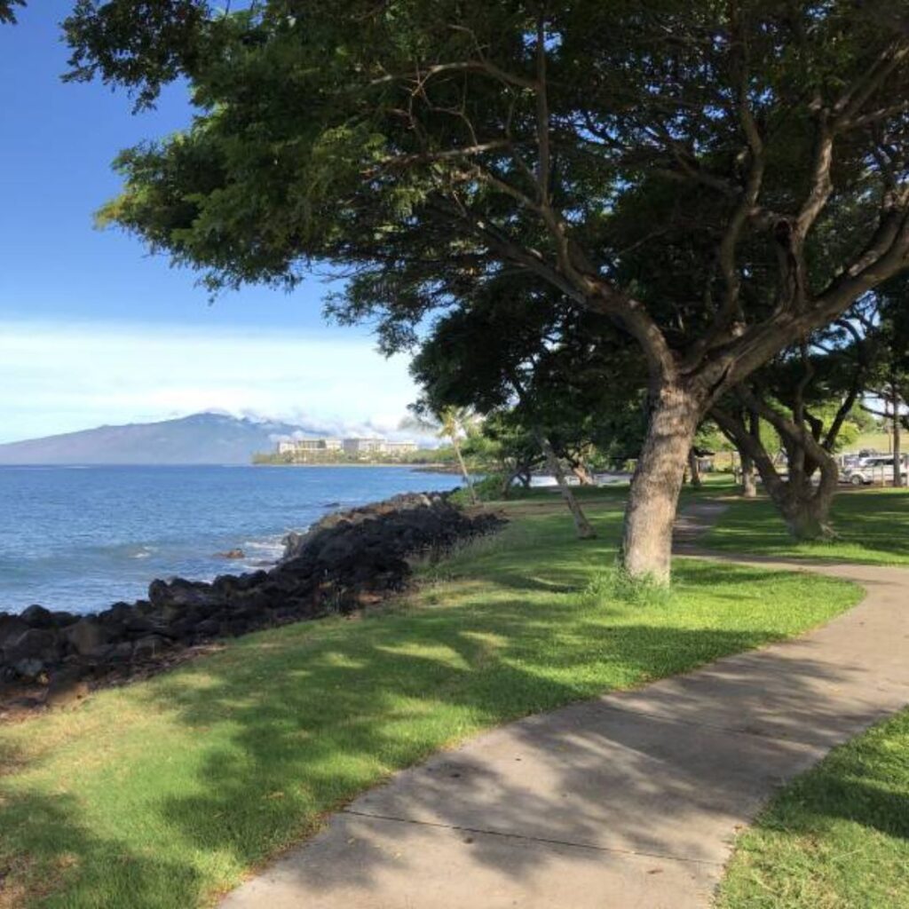 Snorkeling on Maui: The Ultimate Guide To 27 Amazing Spots