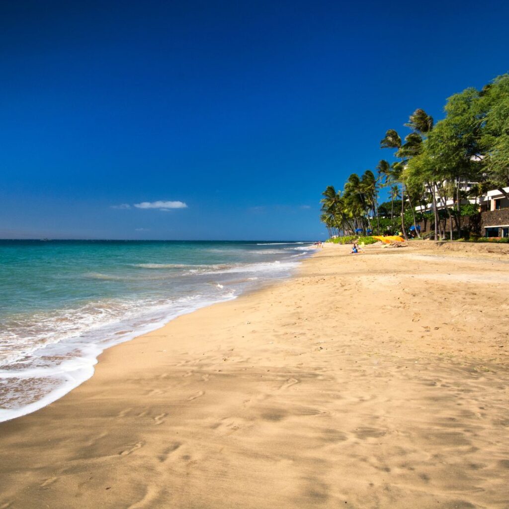 Snorkeling on Maui: The Ultimate Guide To 27 Amazing Spots