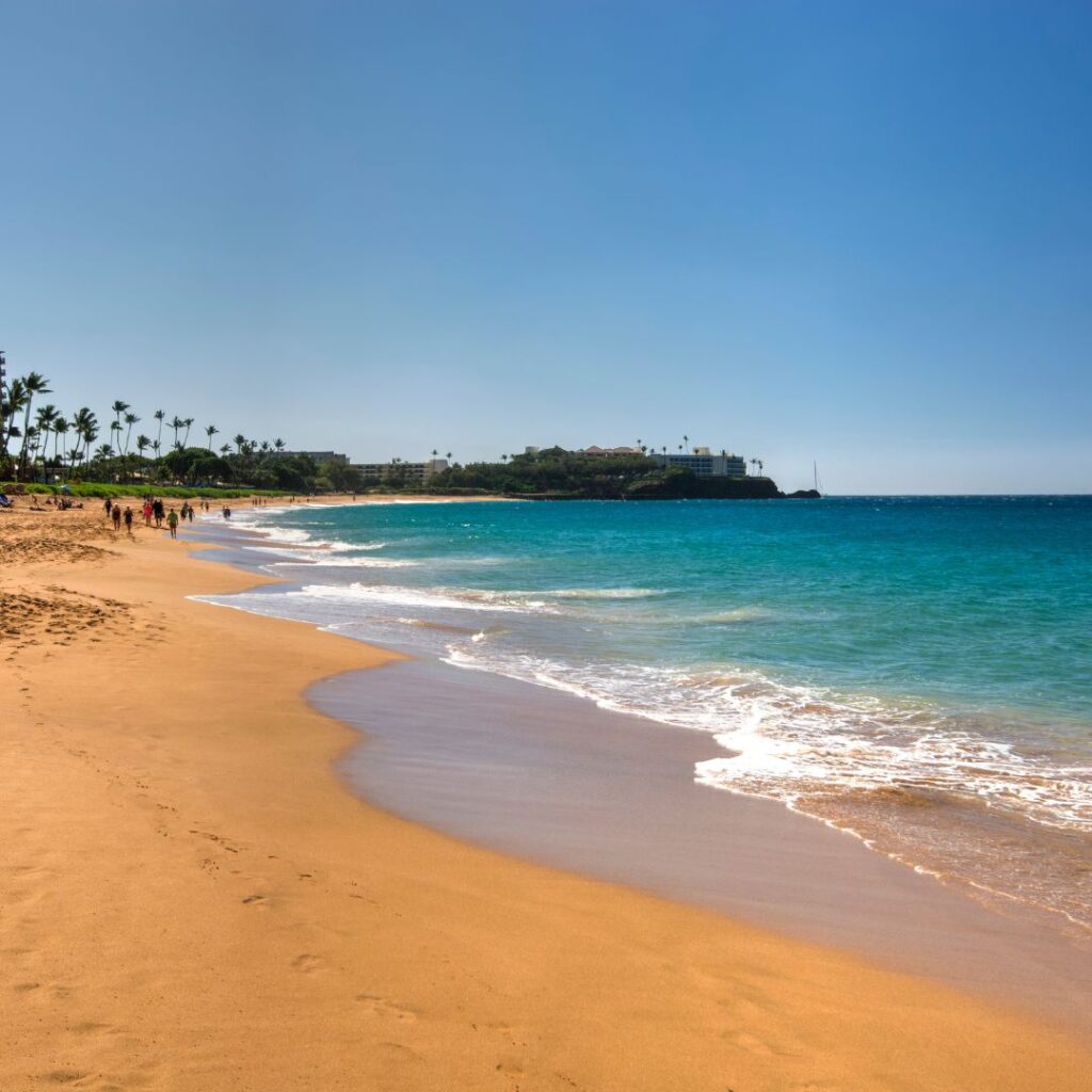 Snorkeling on Maui: The Ultimate Guide To 27 Amazing Spots