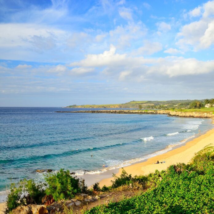 a beach with a body of water and trees