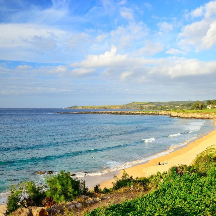 Snorkeling on Maui: The Ultimate Guide To 27 Amazing Spots