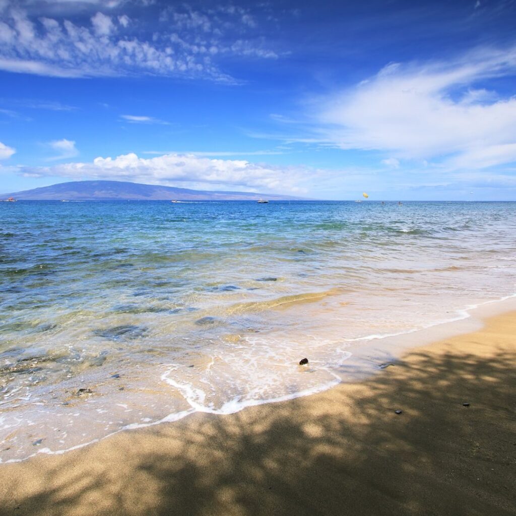 Snorkeling on Maui: The Ultimate Guide To 27 Amazing Spots