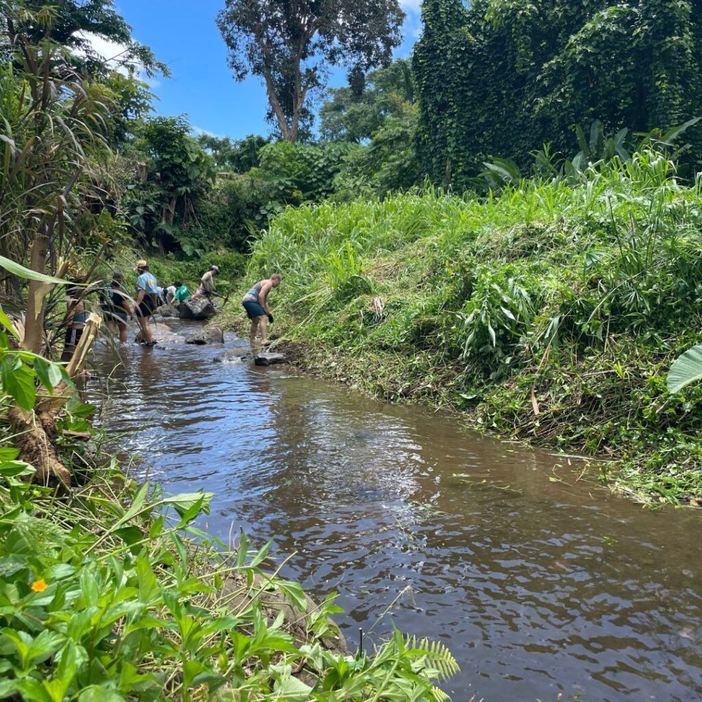 Why Volunteering at Papahana Kuaola Should Be on Your Bucket List