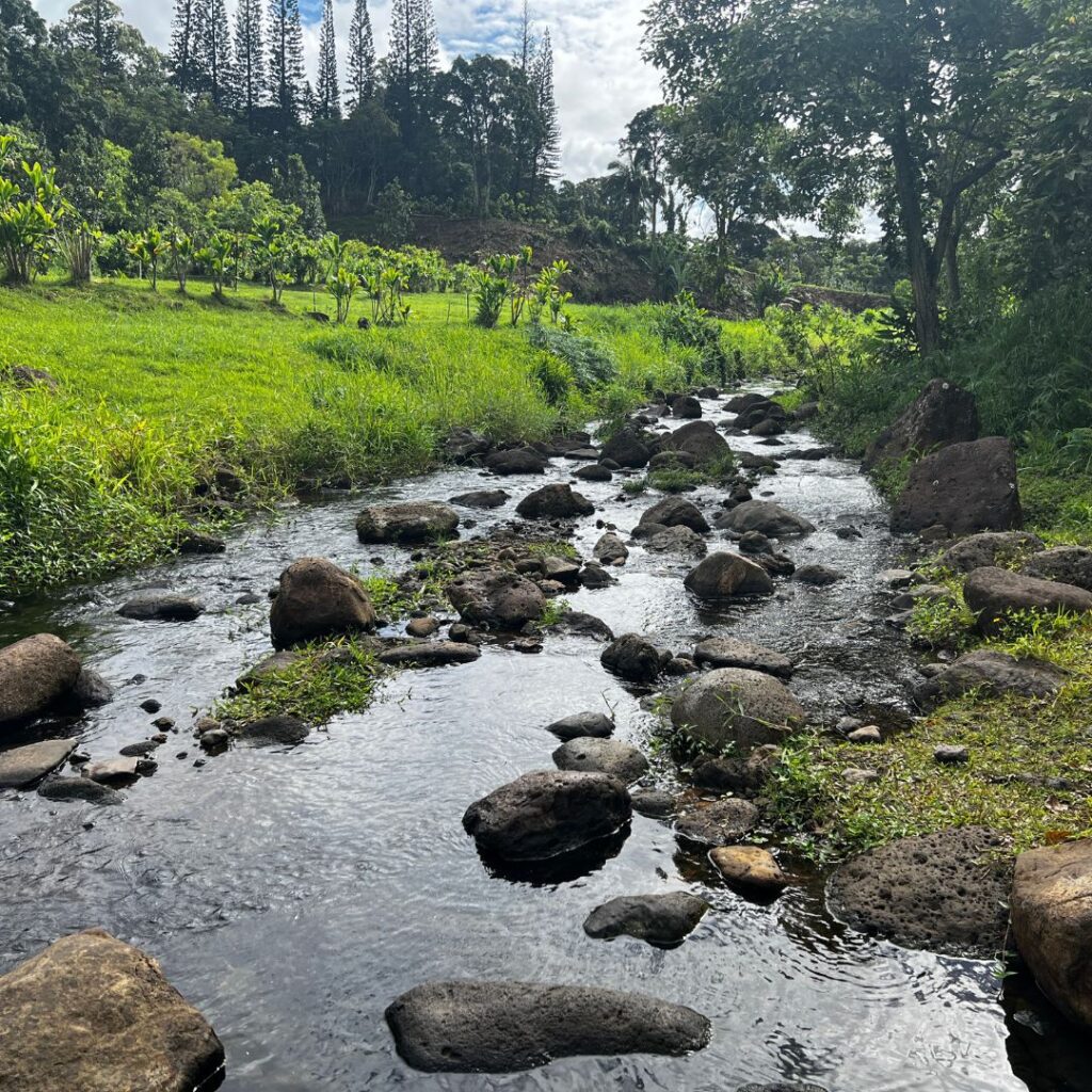 View of the river flowing through Papahana Kuaola, this is one of the best places to go volunteering on Oahu.