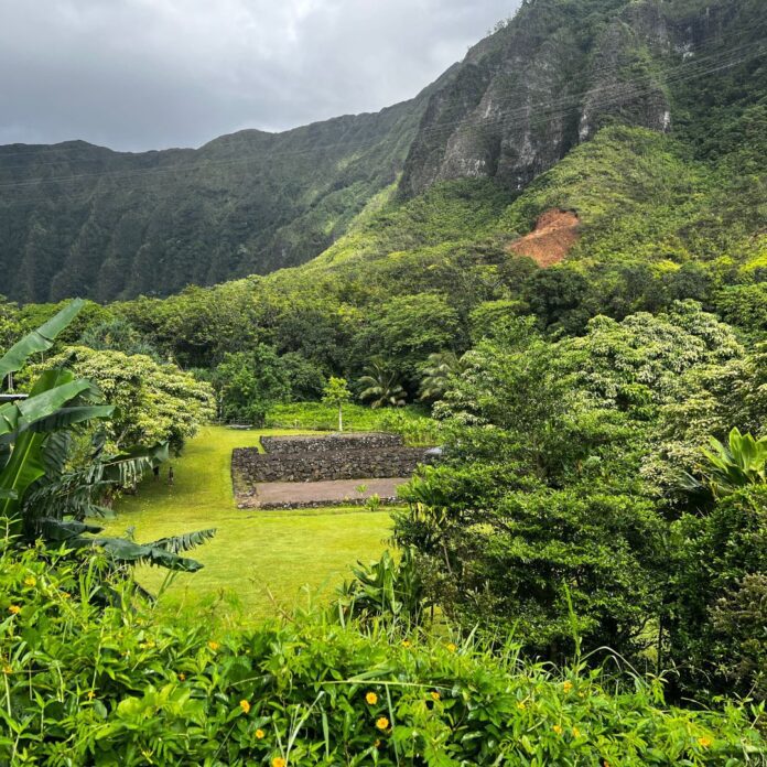 a green landscape with trees and mountains