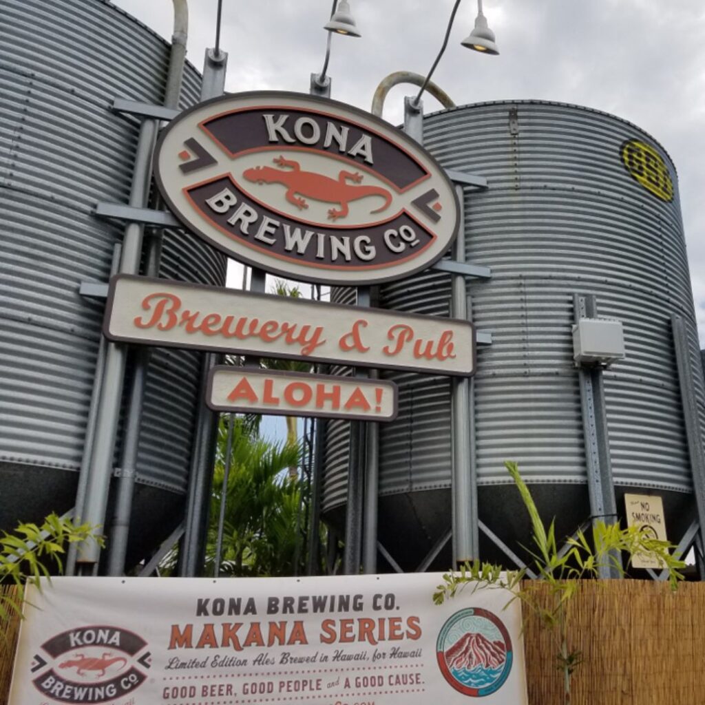 The 49 Best Things To Do In Kona