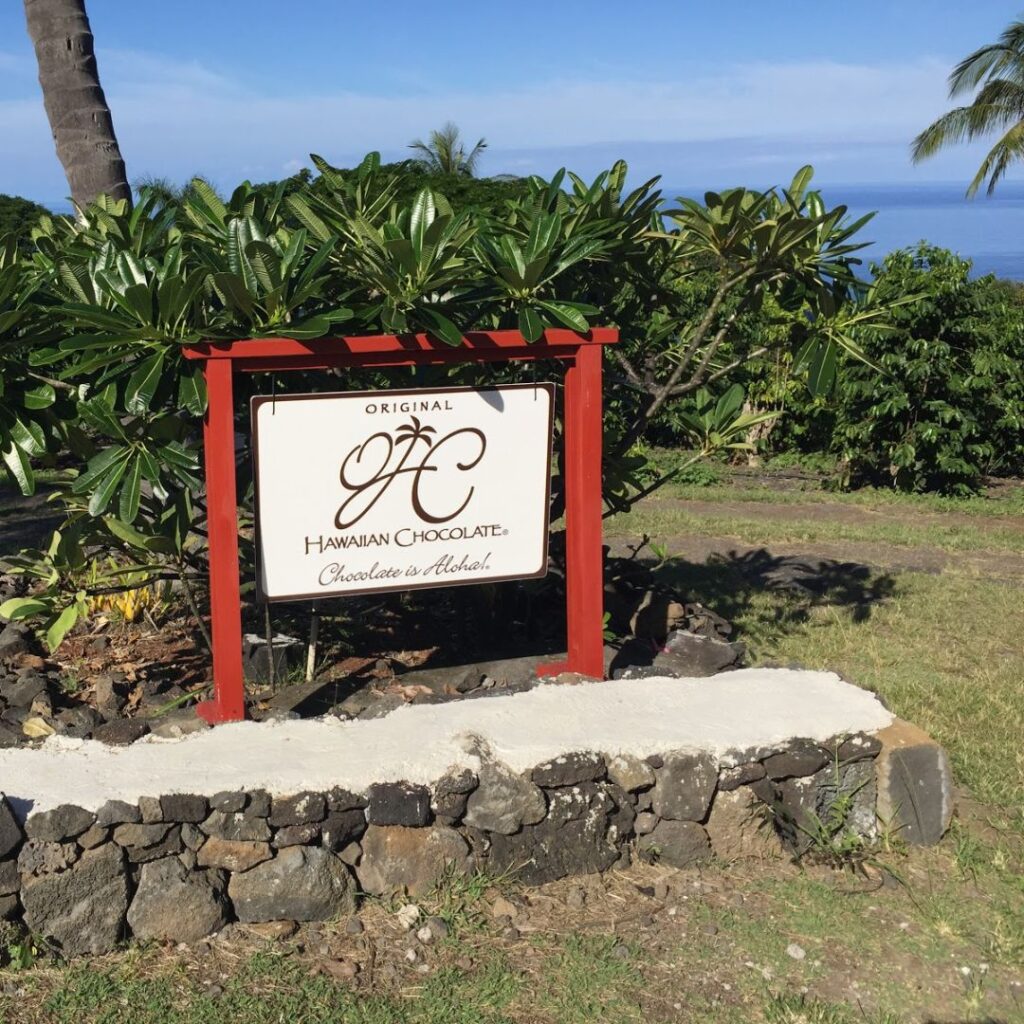 The 49 Best Things To Do In Kona