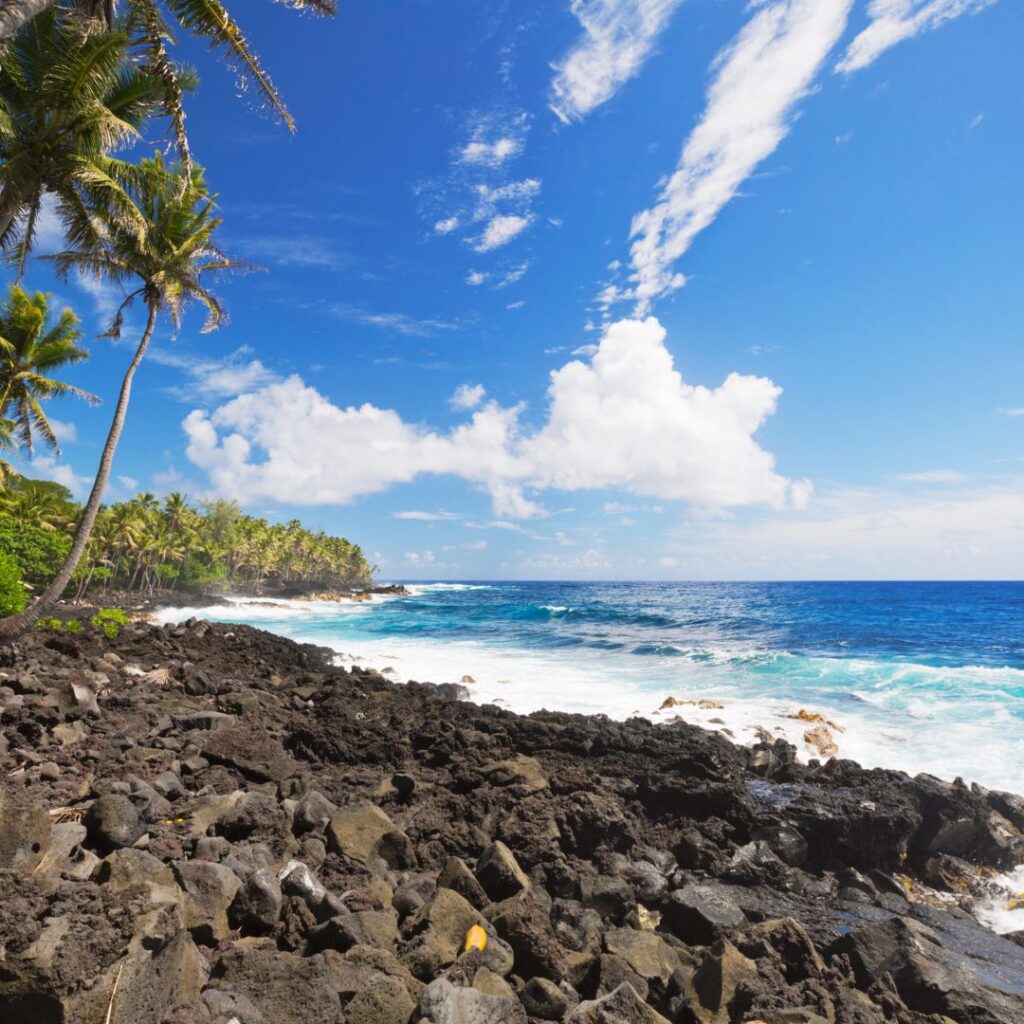 The 49 Best Things To Do In Kona