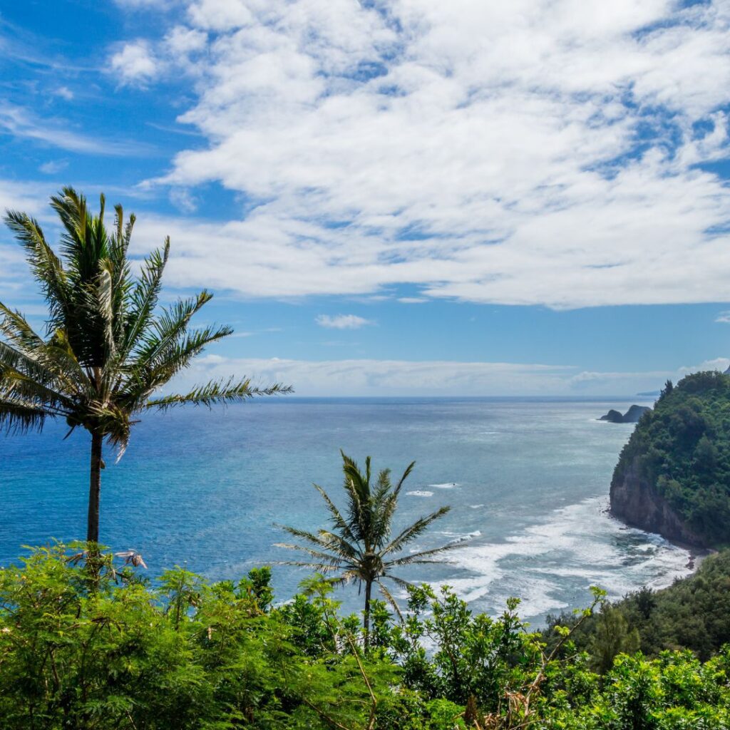 The 49 Best Things To Do In Kona