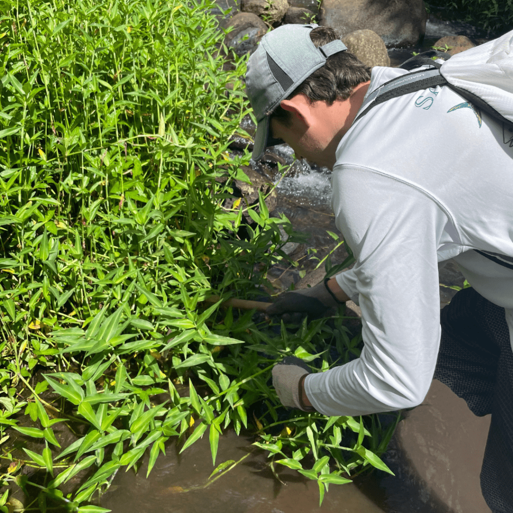 Why Volunteering at Papahana Kuaola Should Be on Your Bucket List