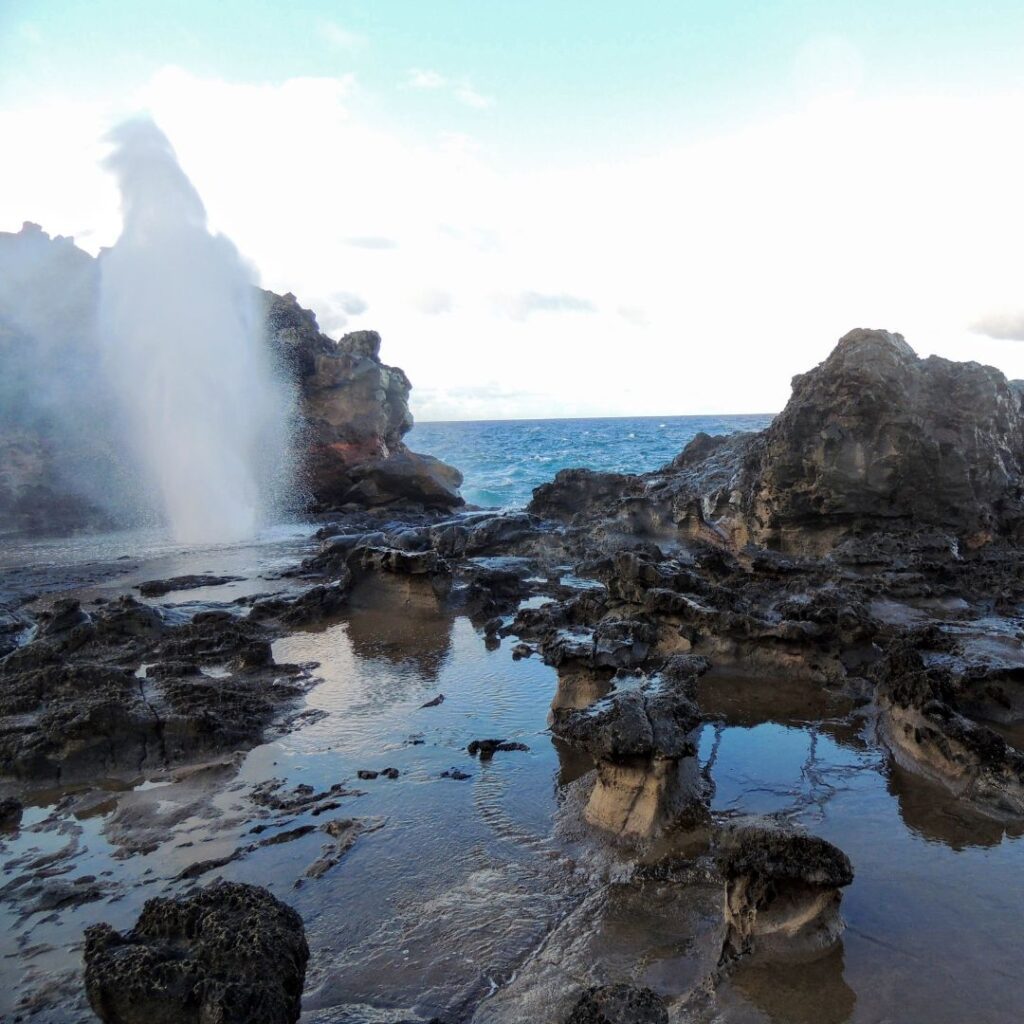 a water spouting from a blowhole