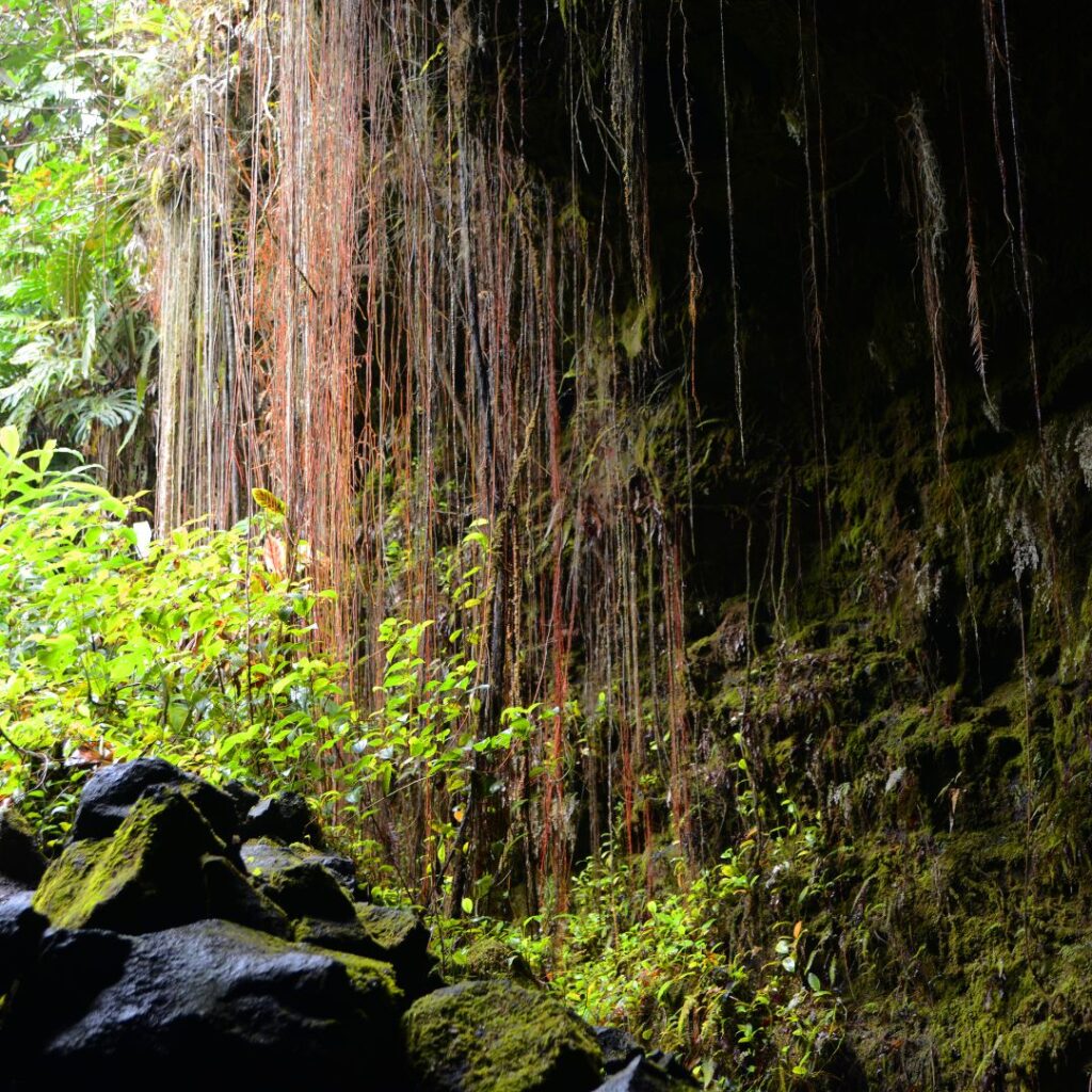 35 Best Things To Do On The Big Island